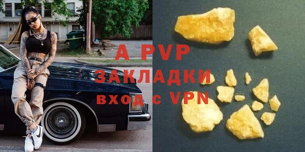 2c-b Инсар