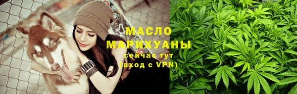 2c-b Инсар