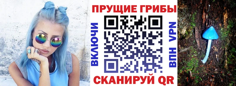 Псилоцибиновые грибы ЛСД  кракен ссылки  Рубцовск  что такое наркотик 