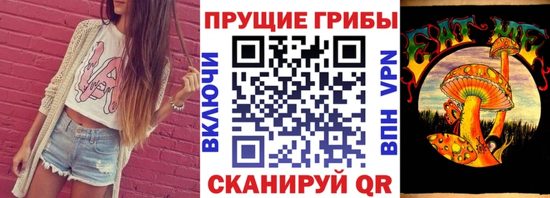 Галлюциногенные грибы Psilocybine cubensis Рубцовск